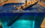 Dioramas maritimes