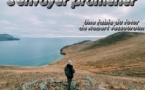 S'envoyer promener | Robert Yessouroun | 2025 S'envoyer promener | Robert Yessouroun | 2025