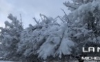 La Neige