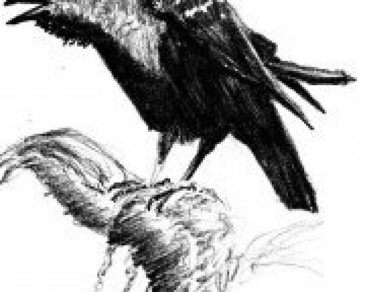 Hugues Crépin Hugues Crépin