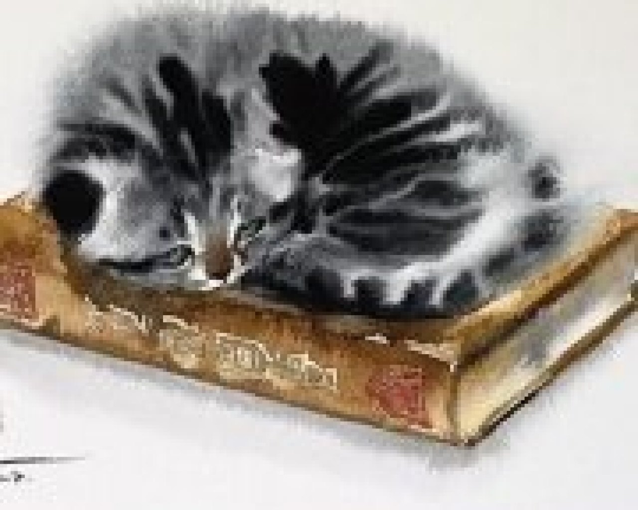 Patricia Nayhouston Patricia Nayhouston