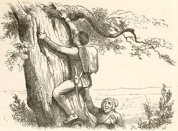 Illustration @ Vilhelm Pedersen. Illustration @ Vilhelm Pedersen.