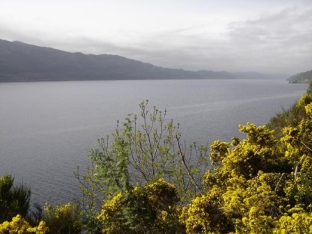 Monstre du Loch Ness Monstre du Loch Ness