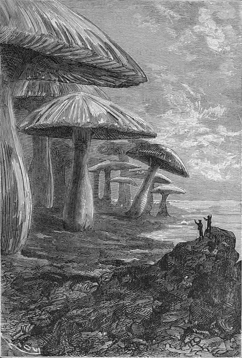 Dessin de Riou illustrant l'édition originale | Par Édouard Riou — http://jv.gilead.org.il/rpaul/Voyage%20au%20centre%20de%20la%20terre/, Domaine public, https://commons.wikimedia.org/w/index.php?curid=11234108 Dessin de Riou illustrant l'édition originale | Par Édouard Riou — http://jv.gilead.org.il/rpaul/Voyage%20au%20centre%20de%20la%20terre/, Domaine public, https://commons.wikimedia.org/w/index.php?curid=11234108