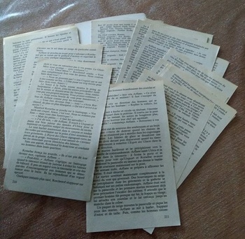 Lire un livre dont les 50 dernières pages se sont détachées est une GALÈRE ! Lire un livre dont les 50 dernières pages se sont détachées est une GALÈRE !