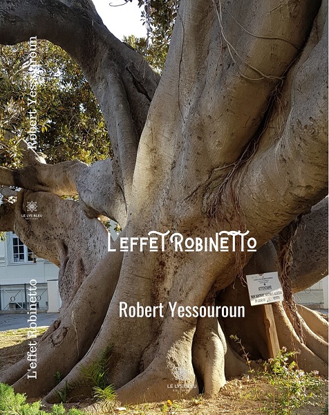 L'Effet Robinetto | Robert Yessouroun | 2020