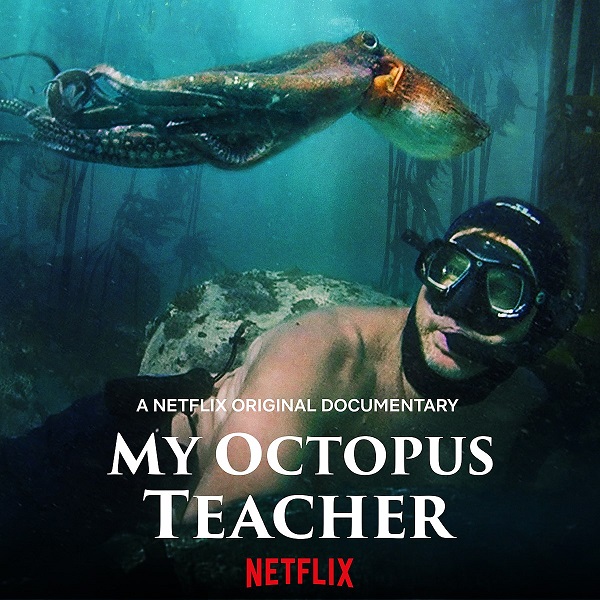 La Sagesse de la Pieuvre | My Octopus Teacher | 2020
