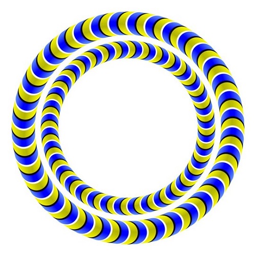 "Impossible-figure rotating snakes 2" © Akiyoshi Kitaoka 2009