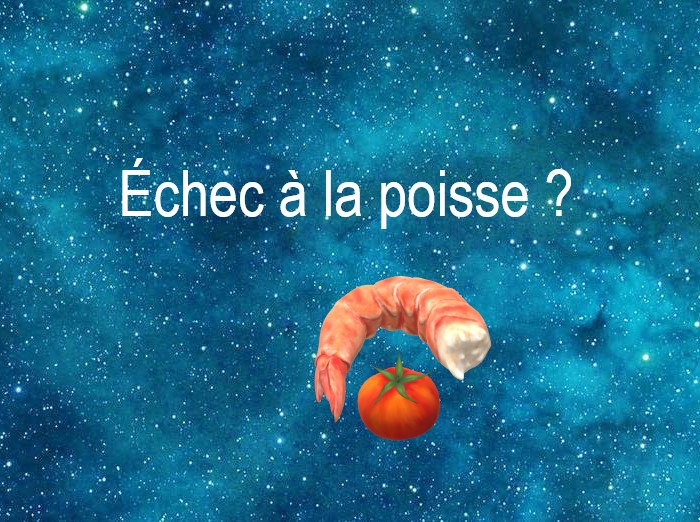 Copyright @ 2022 Le Galion des Etoiles | Echec à la poisse ?, une fable du futur de Robert Yessouroun