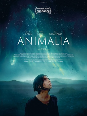 Animalia (Sofia Alaoui, 2023) Animalia (Sofia Alaoui, 2023)