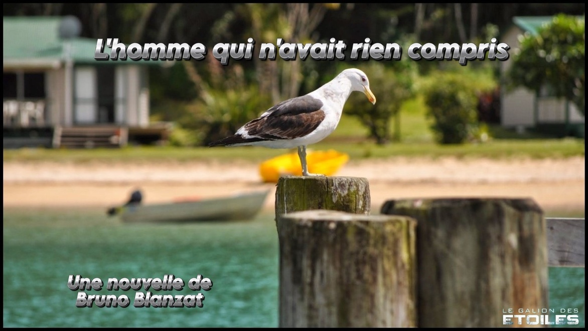 L'homme qui n'avait rien compris | Bruno Blanzat | 2021