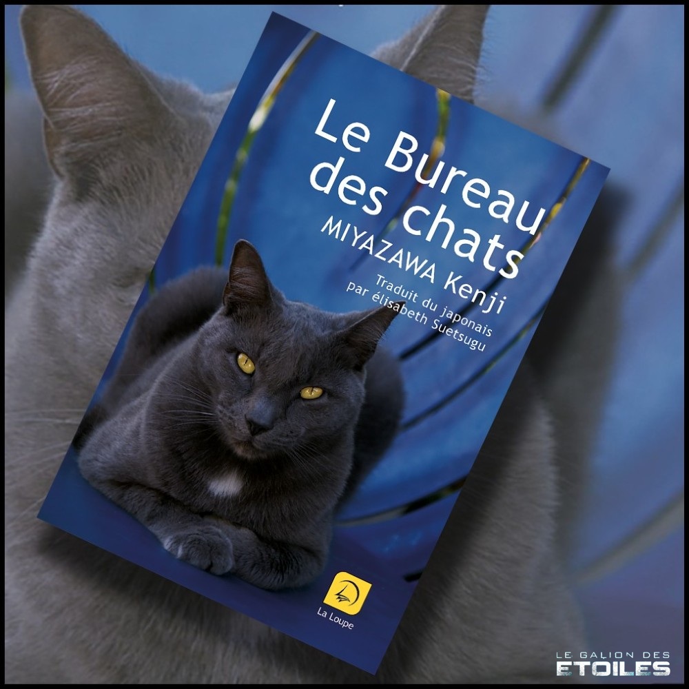 Le bureau des chats, réédition © 2010 Editions de la Loupe | Photo de couverture © Jjalphoto - © npologuy - Fotolia Le bureau des chats, réédition © 2010 Editions de la Loupe | Photo de couverture © Jjalphoto - © npologuy - Fotolia