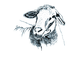 Idiotisme | Eric Marie | 2023 Idiotisme | Eric Marie | 2023