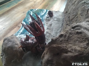 Réalisation & photo © Christobal Columbus