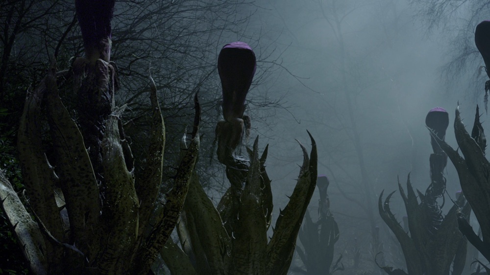 Illustration : The Day of the Triffids, série en 2 épisodes, réalisée en 2009 par Nick Copus d’après le roman de John Wyndham