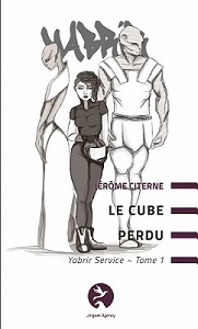 Yabrir Service | Jérôme Citerne | 2017-....