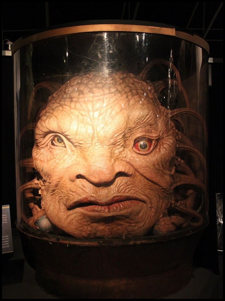 Face de Boe | Par Evan Moss — Doctor Who Experience, CC BY-SA 2.0, https://commons.wikimedia.org/w/index.php?curid=58876517