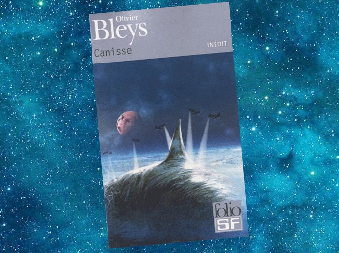 Canisse | Olivier Bleys | 2010