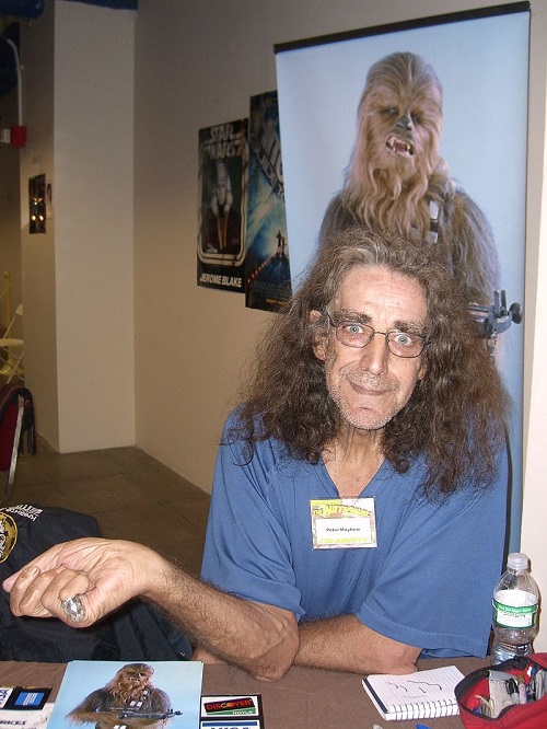 Mayhew at the 2008 Big Apple Con sitting in front of an image of Chewbacca | By Luigi Novi, CC BY 3.0, https://commons.wikimedia.org/w/index.php?curid=5223953