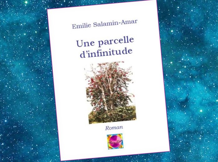 Une Parcelle d'Infinitude | Emilie Salamin-Amar | 2014