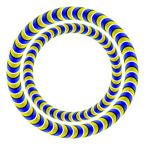 "Impossible-figure rotating snakes 2" © Akiyoshi Kitaoka 2009