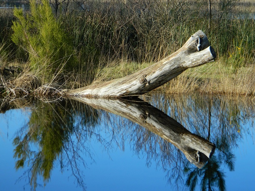 Copyright @ Jean-Michel Archaimbault | Réflexion, photo personnelle