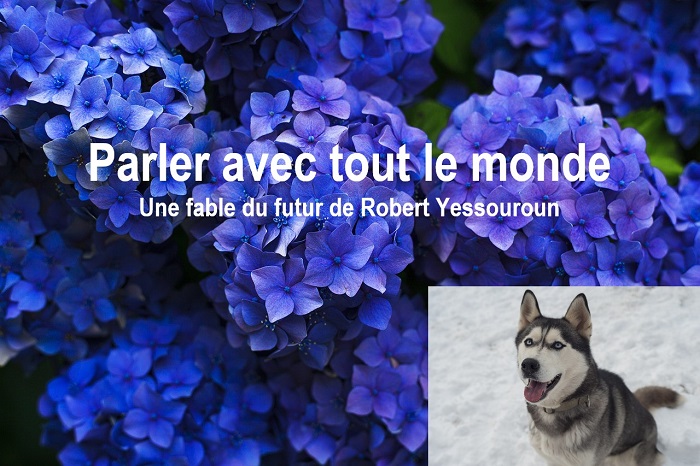 Montage @ 2023 Le Galion des Etoiles | Source illustrations : Pixabay, licence CC0 Montage @ 2023 Le Galion des Etoiles | Source illustrations : Pixabay, licence CC0