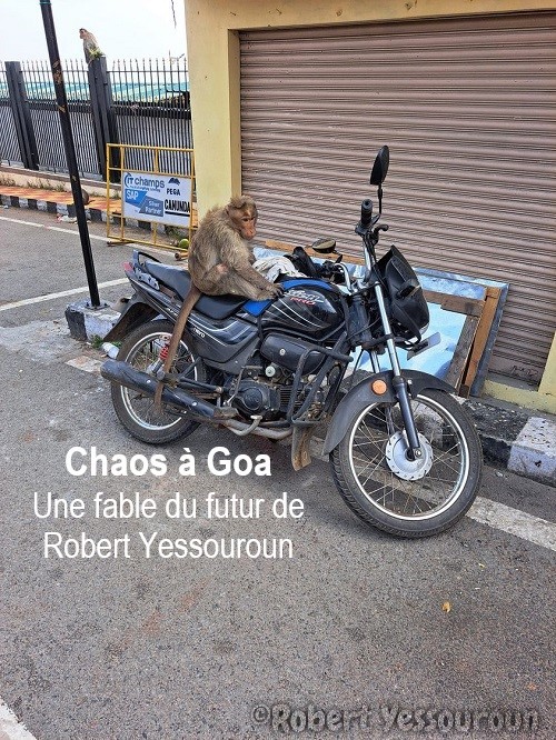 Chaos à Goa | Photo @ 2024 Robert Yessouroun, photo personnelle prise lors de mon voyage en Inde