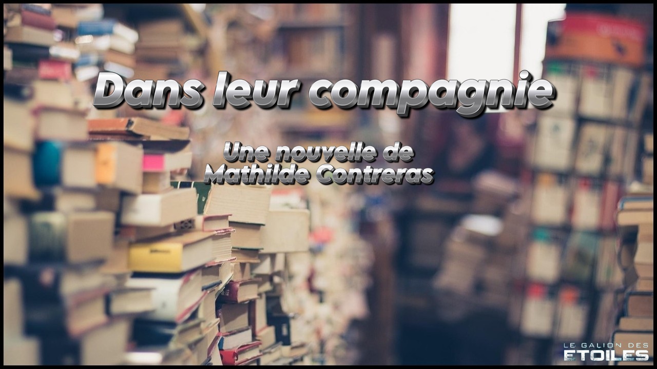 Photo © Eli Francis, libre d'utilisation, https://pixabay.com/fr/photos/livres-empiler-librairie-1163695/ | Montage © Le Galion des Etoiles