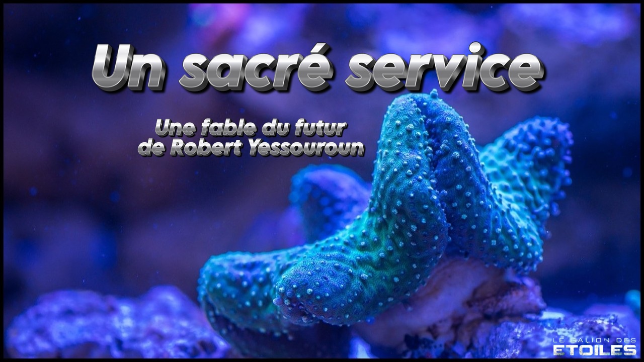 Illustration © Ekamelev, gratuite et libre d'utilisation, https://pixabay.com/fr/photos/corail-polype-aquarium-3202719/ | Montage © Le Galion des Etoiles