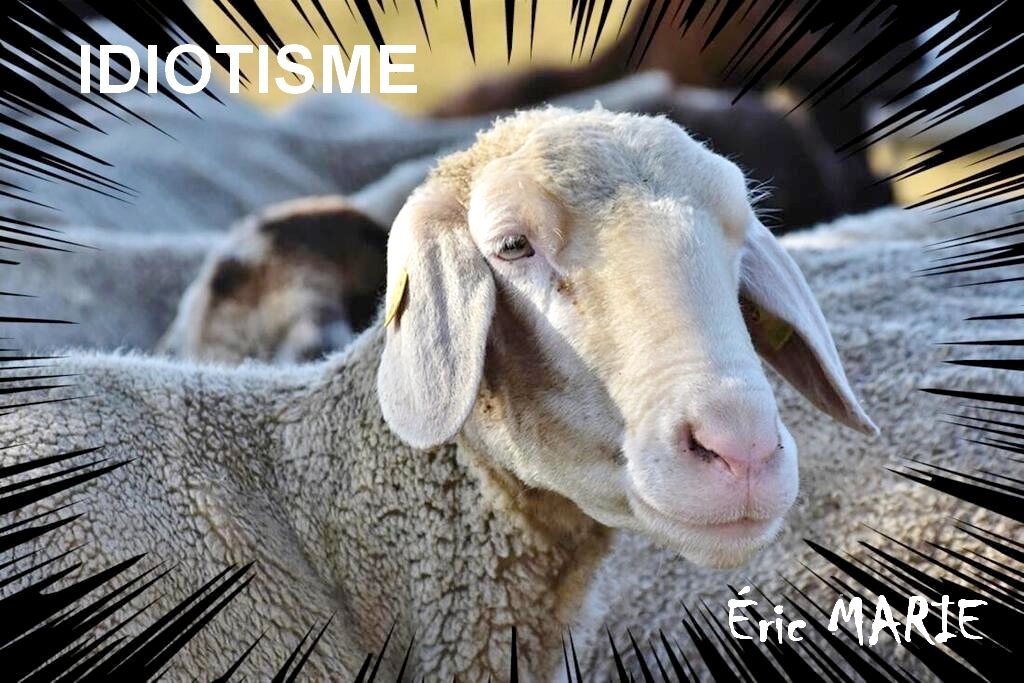 Idiotisme | Photo montage © Eric Marie