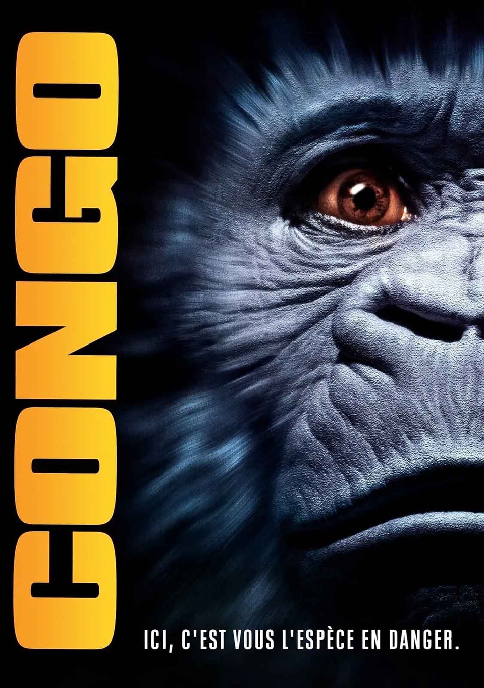 Congo | 1995 Congo | 1995