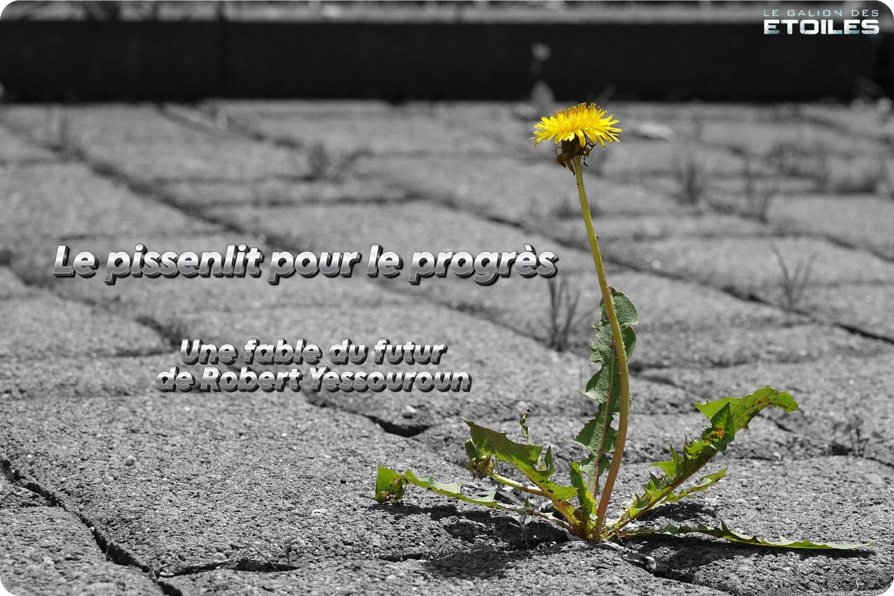 Photo © Razzmatazz0r, gratuite et libre d'utilisation, https://pixabay.com/fr/photos/pissenlit-chauss%C3%A9e-chemin-pav%C3%A9s-4886946/