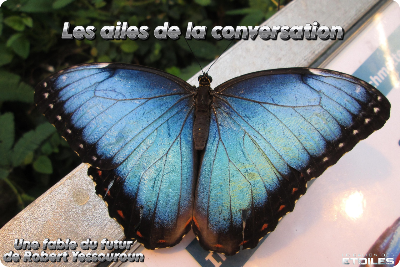 Photo © Meli1670, libre d'utilisation, https://pixabay.com/fr/photos/papillon-du-ciel-edelfalter-papillon-947720 | Montage © Le Galion des Etoiles
