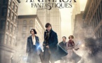 Les Animaux fantastiques | Fantastic Beasts and Where to Find Them | 2016
