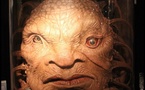 Doctor Who | Face de Boe