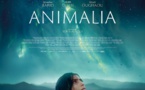 Animalia | 2023