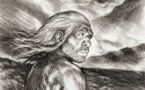 Le brouillard | Michel Maillot | 2024