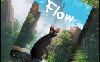 Flow | 2024 Flow | 2024