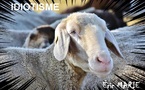 Idiotisme | Eric Marie | 2023