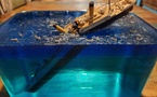 Dioramas maritimes 