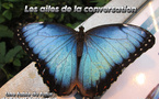 Les ailes de la conversation | Robert Yessouroun | 2025