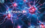 L'Étincelle (Michel Maillot)
