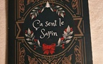📚 Ça sent le sapin | Mello von Mobius | 2023