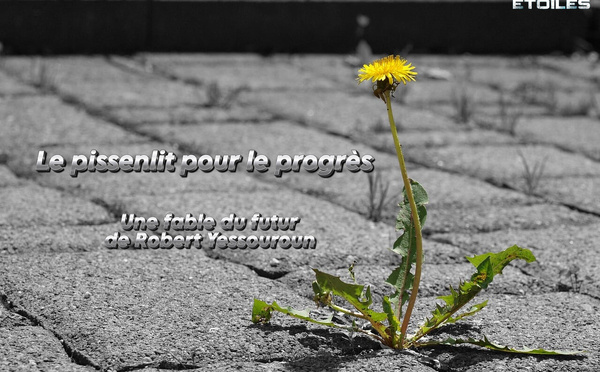 Photo © Razzmatazz0r, gratuite et libre d'utilisation, https://pixabay.com/fr/photos/pissenlit-chauss%C3%A9e-chemin-pav%C3%A9s-4886946/