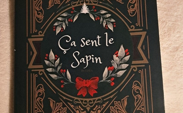 📚 Ça sent le sapin | Mello von Mobius | 2023