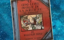 Le Grand Livre pratique de la Sorcière en 11 Leçons | Malcolm Bird | 1984