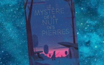 Le Mystère de la Nuit des Pierres | Evelyne Brisou-Pellen | 1980 Le Mystère de la Nuit des Pierres | Evelyne Brisou-Pellen | 1980