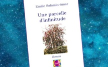 Une Parcelle d'Infinitude | Emilie Salamin-Amar | 2014