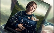 Lamb | 2021 Lamb | 2021